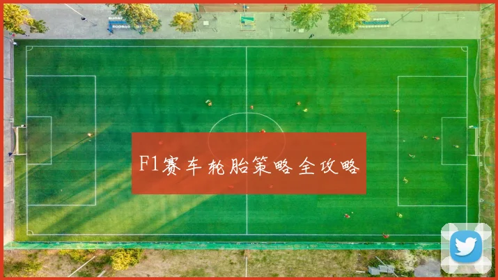 F1赛车轮胎策略全攻略