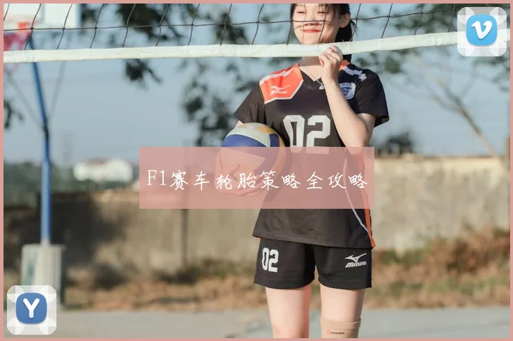 F1赛车轮胎策略全攻略