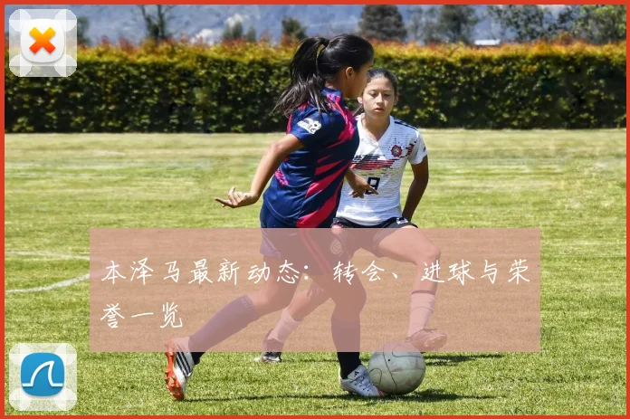 本泽马最新动态：转会、进球与荣誉一览